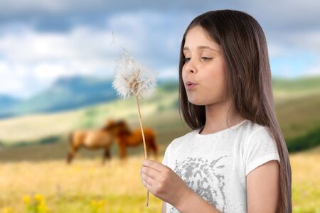 Dandelion.の写真素材