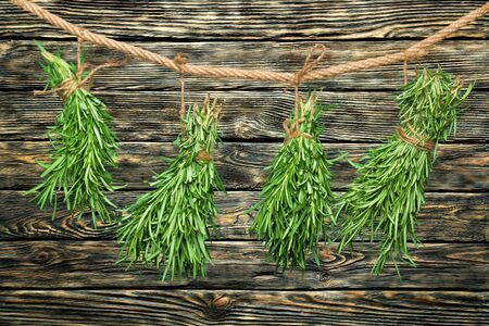 Bunch, melissa, leaves.の写真素材