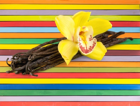 Vanilla.