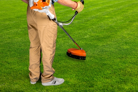 Gardening.
