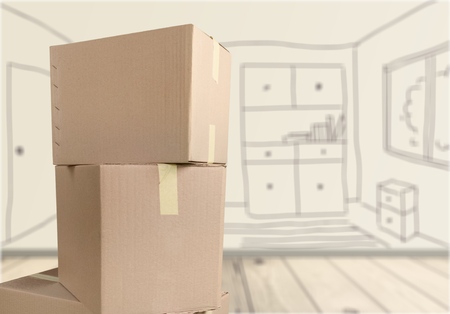 Cardboard Box.