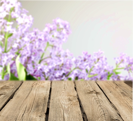 Wood.の写真素材