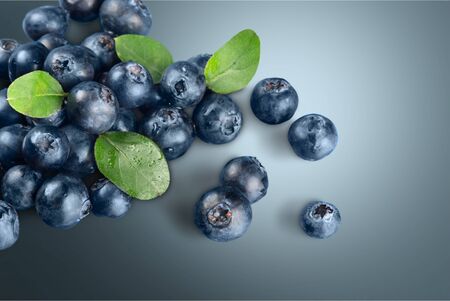 Blueberry Heap.の写真素材