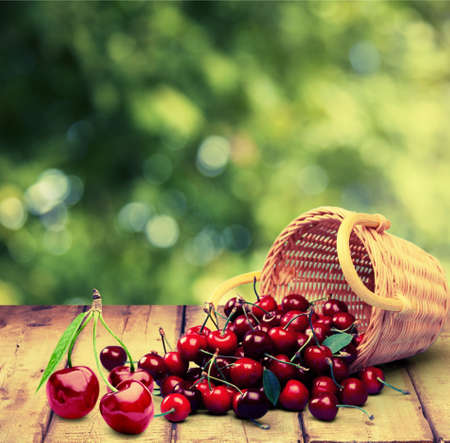 Cherry.の写真素材