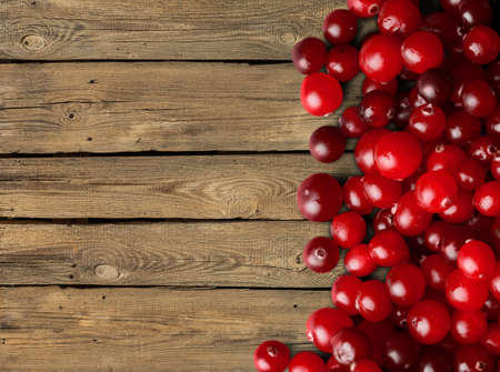 Cranberries.の写真素材