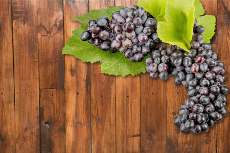 Grapes.の写真素材