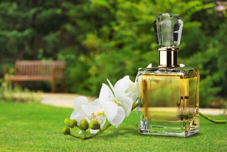 Perfume.の写真素材