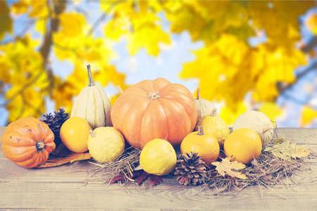 Halloween background.の写真素材