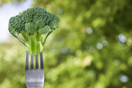 Broccoli.の写真素材