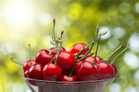 Cherry.の写真素材