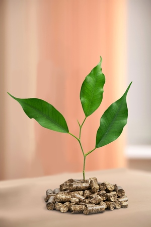 Biomass pellets.の写真素材