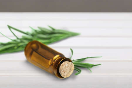 Aromatherapy Oil.の写真素材