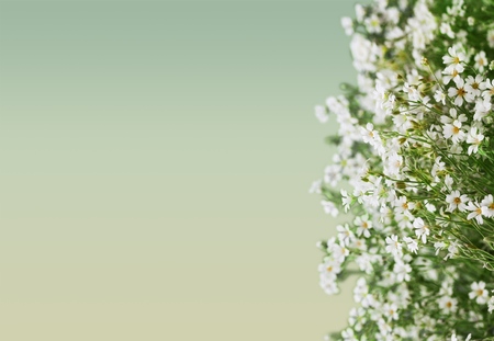 Flower bouquet.