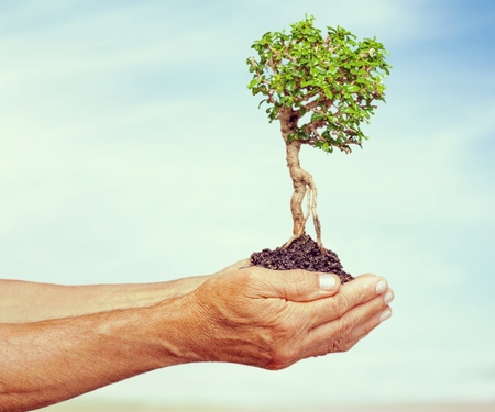 Environmental care.の写真素材