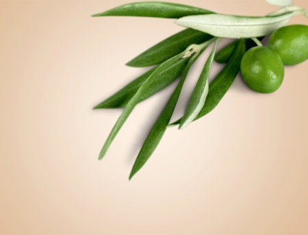 Olive.の写真素材