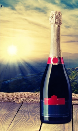 Champagne.の写真素材