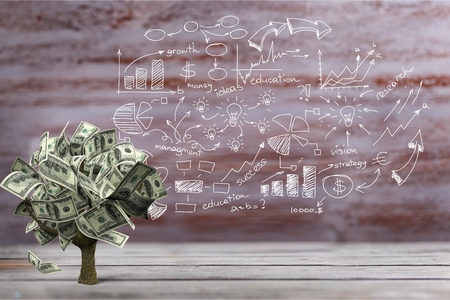 Money Tree.の写真素材