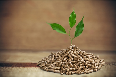 Biomass.