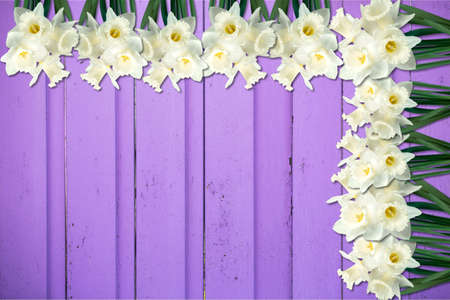 Spring background.の写真素材