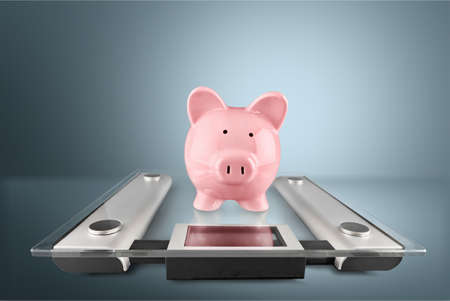 Piggy Bank.の写真素材