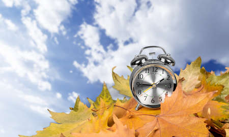 Autumn.の写真素材