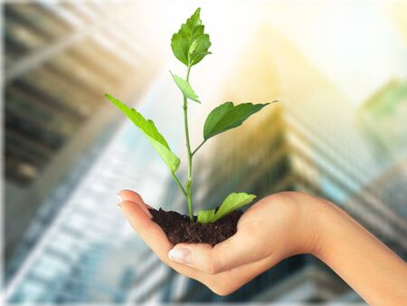 Organic.の写真素材