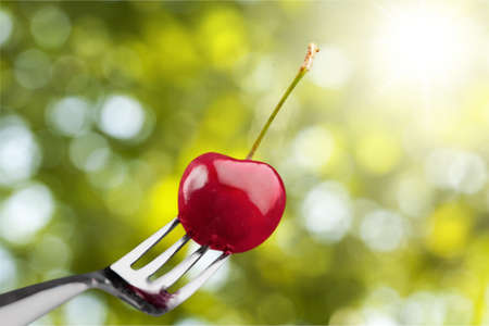 Fork.の写真素材