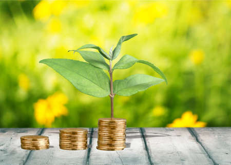 Growth.の写真素材