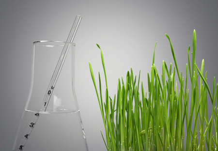 Agriculture.の写真素材