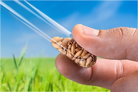 Food.の写真素材