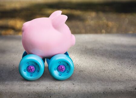 Piggy Bank.