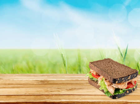 Sandwich.の写真素材