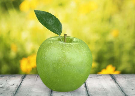 Food.の写真素材