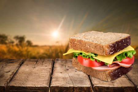 Sandwich.の写真素材