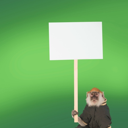 Monkey.の写真素材