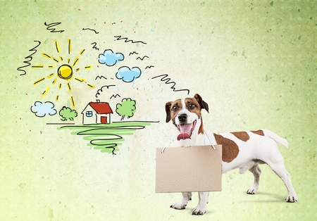 Animal.の写真素材