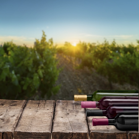 Wine Bottle.の写真素材
