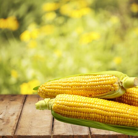 Corn.の写真素材