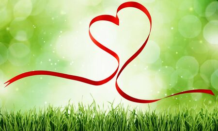 Heart Shape.の写真素材