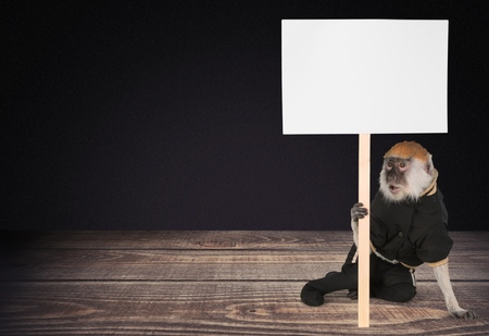 Monkey.の写真素材