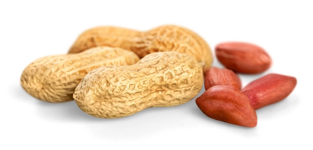 Peanut.
