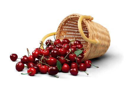 Cherry.の写真素材