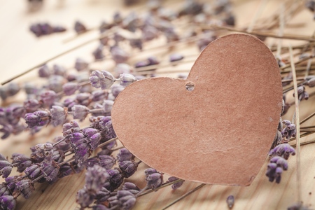 Mothers.の写真素材