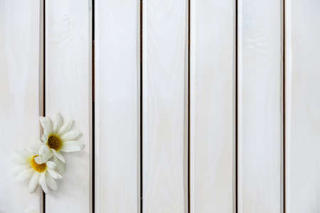 White.の写真素材