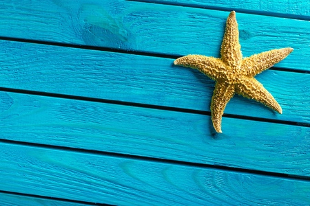 Shell.の写真素材