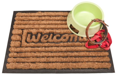 Pets.の写真素材