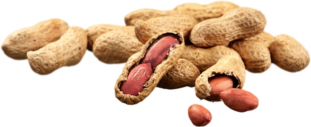 Peanut.