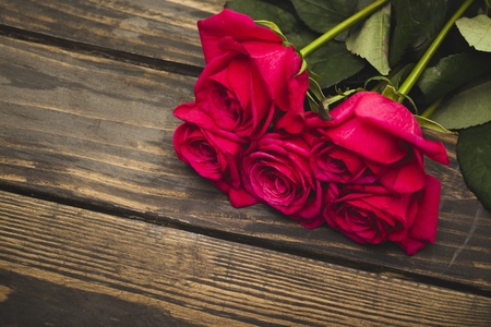 Roses.の写真素材