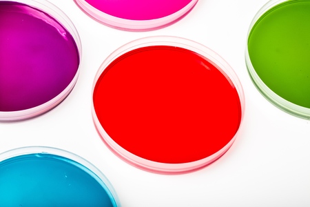 Dish.の写真素材