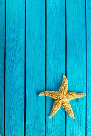 Shell.の写真素材